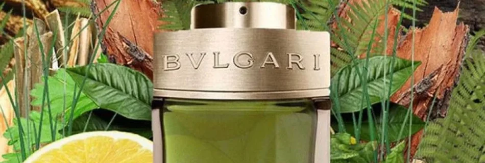 ncrwyiv1yrfsjvbldzijdxt7wwbfpnzkhkarzxr5 2 jpg