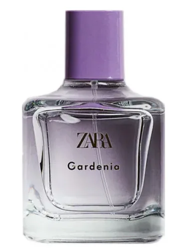 Conheça o Perfume Feminino Mais Vendido da Zara 4 Conheça o Perfume Feminino Mais Vendido da Zara