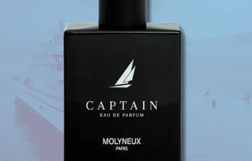 Texto do seu paragrafo 81 png