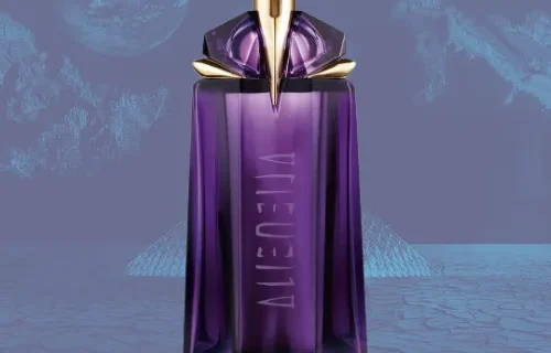 Texto do seu paragrafo 91 png