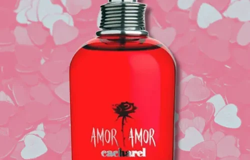 Texto do seu paragrafo 2024 10 03T214343.587 png