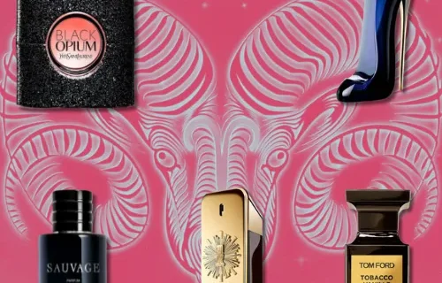 Texto do seu paragrafo 2024 10 06T121500.892 png