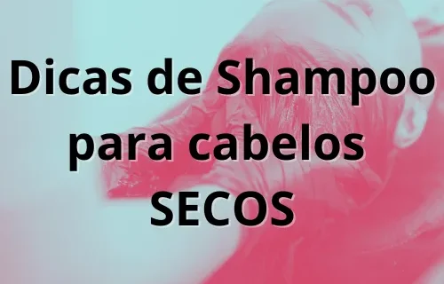 Texto do seu paragrafo 2024 10 06T165822.263 png