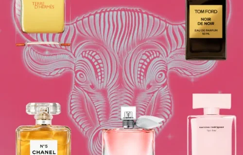 Texto do seu paragrafo 2024 10 06T172420.863 png