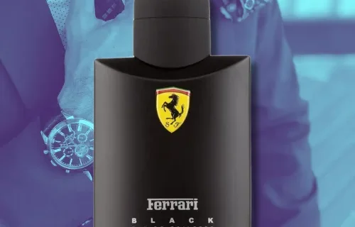 Texto do seu paragrafo 2024 10 21T211951.691 png