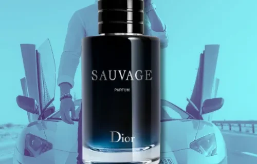 Texto do seu paragrafo 2024 10 22T205907.143 png