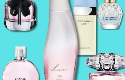 Texto do seu paragrafo jpg