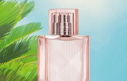 Perfume Feminino para o Dia png