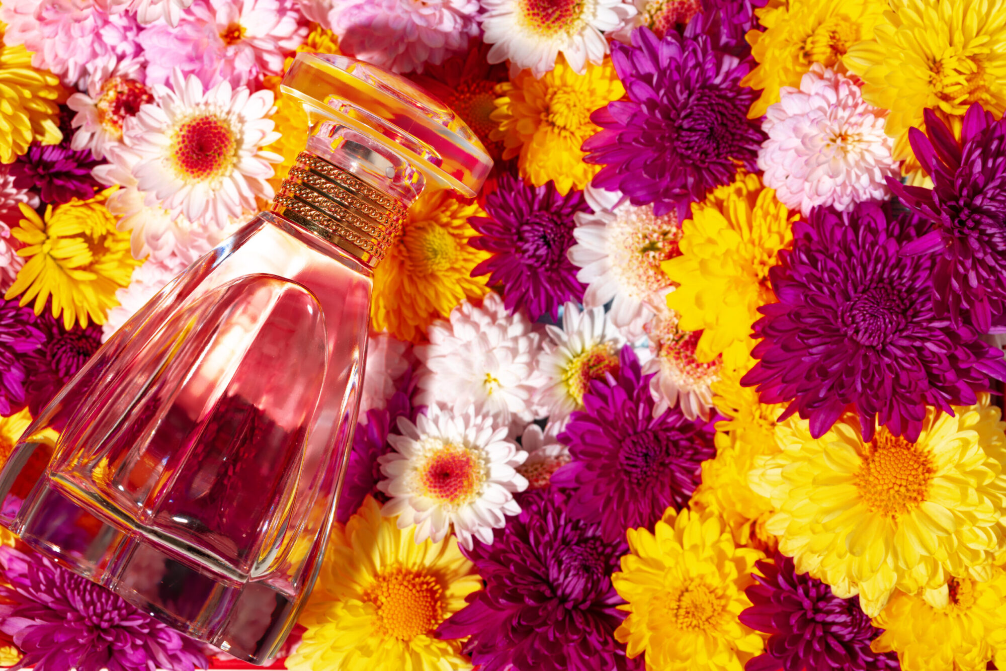 bottle of fragrance surrounded by flower buds 2023 11 27 05 08 18 utc scaled