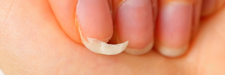 Blogaromatico 1200 x 800 px 38