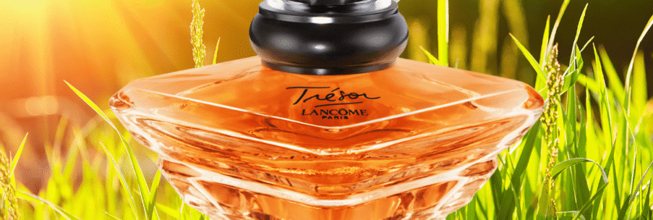 Blogaromatico 1200 x 800 px 25 1