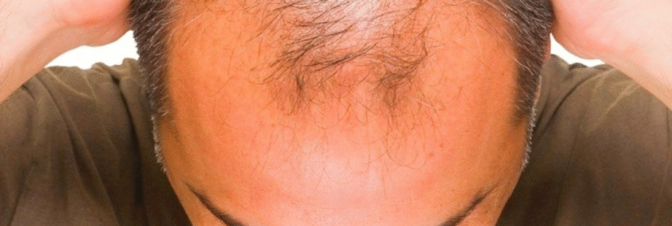 Reis da Balada 2025 7